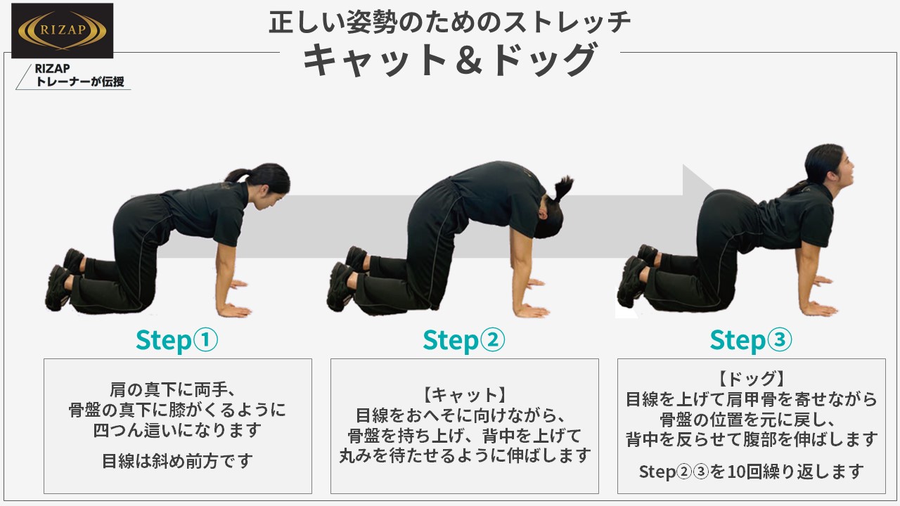 RIZAP_正しい姿勢のためのストレッチ「キャット＆ドッグ」